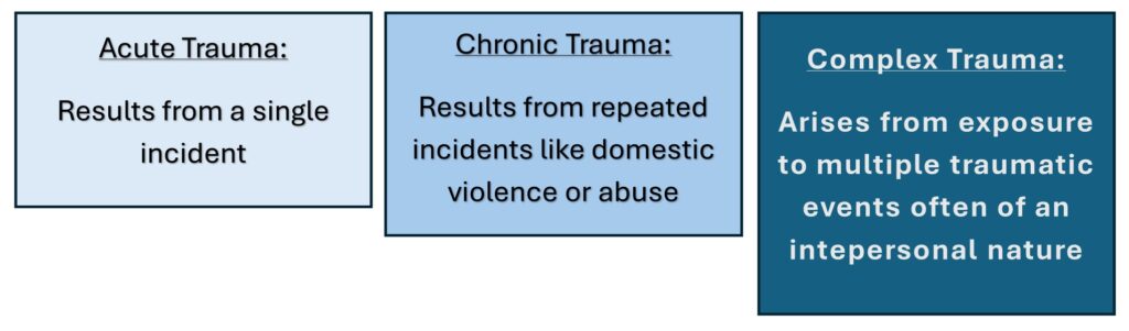 This image has an empty alt attribute; its file name is TRAUMA-BLOK-1-1024x301.jpg